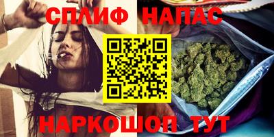 мдпв Пугачёв