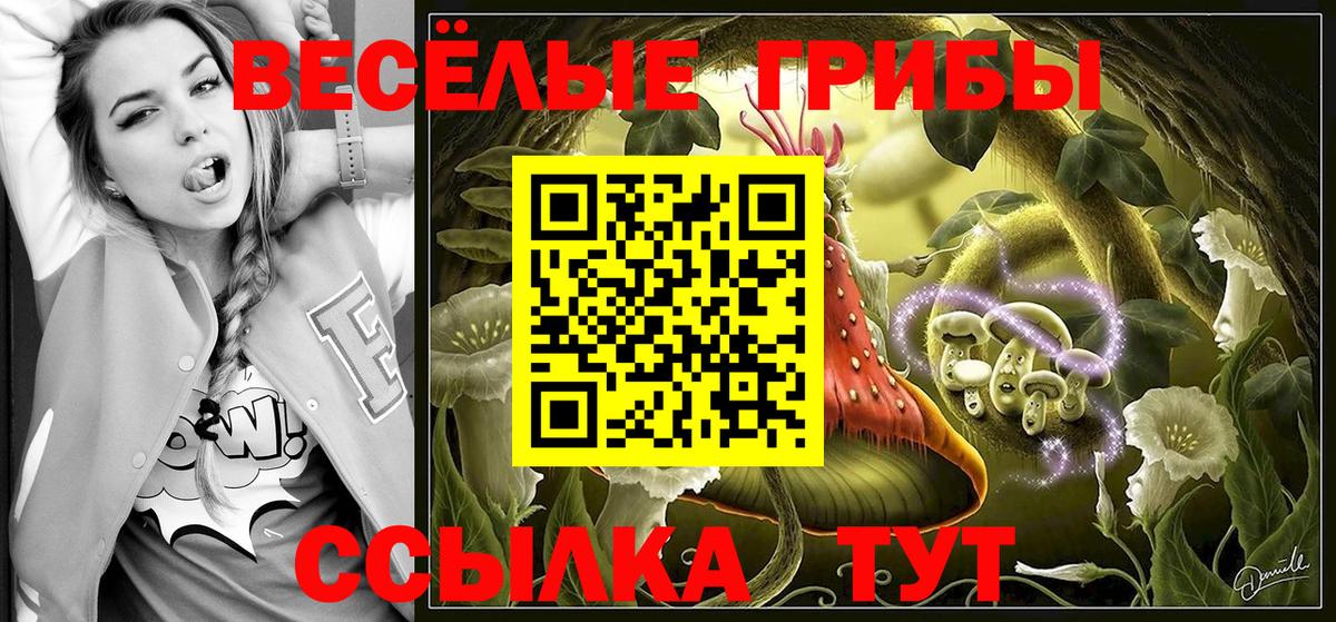 Галлюциногенные грибы мицелий  Псилоцибиновые грибы Magic Shrooms  Прокопьевск  Вход с VPN 