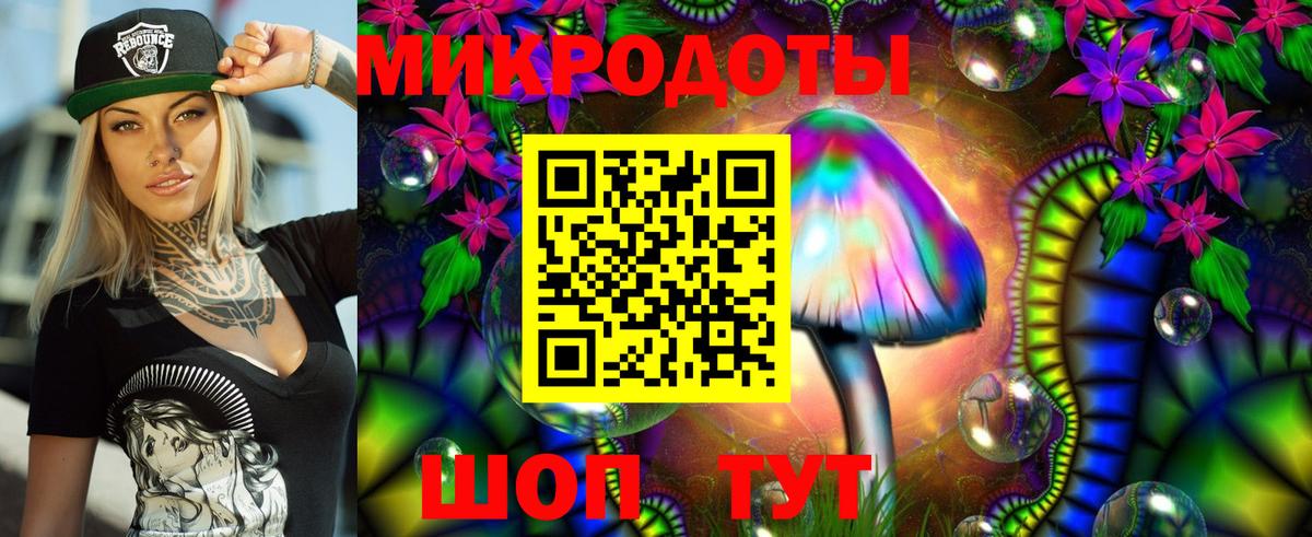 Галлюциногенные грибы Cubensis Прокопьевск
